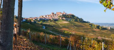 La Morra köyü, Langhe üzüm bağları tepeleri. Şarap turizmi, Avrupa seyahatleri. Bahçecilik, Langhe, Piedmont, İtalya, Unesco mirası. Barolo, Nebbiolo, Dolcetto, Barcaresco kırmızı şarap. 