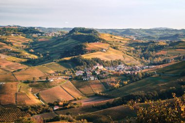 Üzüm bağından Barolo köyü manzarası. Sonbahar peyzajı nebbiolo üzüm bağı tepeleri. Dolcetto, Nebbiolo, Barbera kırmızı şarap. Turizm, seyahat yeri. Bağcılık Piedmont, İtalya.
