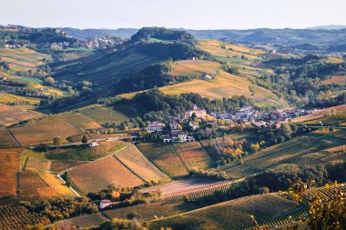 Üzüm bağından Barolo köyü manzarası. Sonbahar peyzajı nebbiolo üzüm bağı tepeleri. Dolcetto, Nebbiolo, Barbera kırmızı şarap. Turizm, seyahat yeri. Bağcılık Piedmont, İtalya.