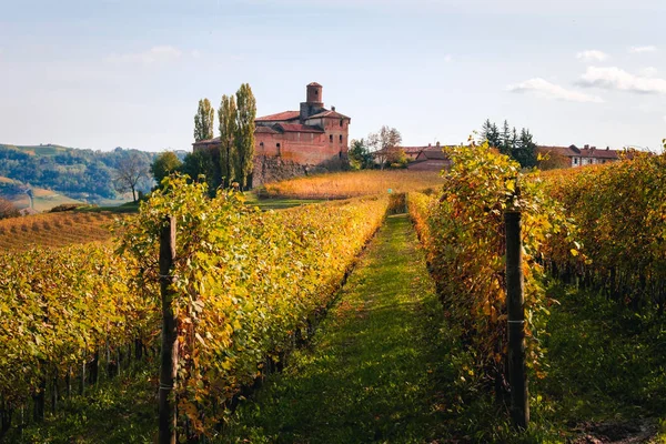 葡萄园兰熙秋天美丽的色彩 Dolcetto Nebbiolo Barbera Barolo红酒 旅游目的地 Viticulture Piedmont Italy Unesco — 图库照片