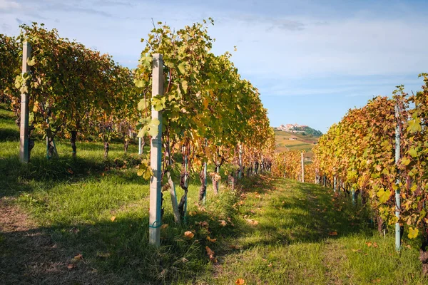 Langhe üzüm bağları tepeleri, La Morra köyü. Sonbahar sezonu. Şarap turizmi, Avrupa seyahatleri. Bahçecilik, Langhe, Piedmont, İtalya, Unesco mirası. Barolo, Nebbiolo, Dolcetto, Barcaresco kırmızı şarap. 