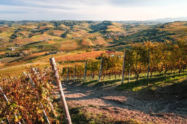 兰格葡萄园山的风景 秋天的风景 美丽的色彩 Dolcetto Nebbiolo Barbera Barolo红酒 旅游目的地 Viticulture Piedmont — 图库照片