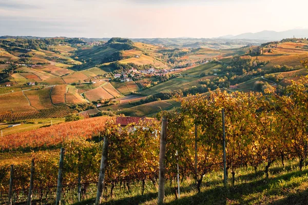 兰格葡萄园山的风景 秋天的风景 美丽的色彩 Dolcetto Nebbiolo Barbera Barolo红酒 旅游目的地 Viticulture Piedmont — 图库照片
