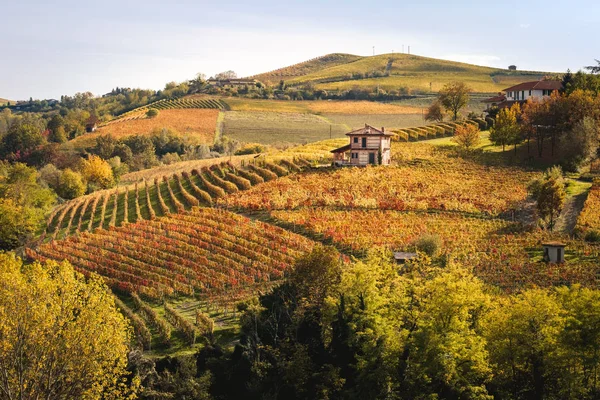 兰格葡萄园山的风景 秋天的风景美丽的色彩 Dolcetto Nebbiolo Barbera Barolo红酒 旅游目的地 Viticulture Piedmont Italy — 图库照片