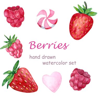 Suluboya çilek ve ahududu. Botanik suluboya elle çizilmiş bir resim. Sevgililer Günü. Suluboya meyveler.