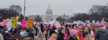 Washington Dc Washington Mart'ta kadınların 21 Ocak 2017