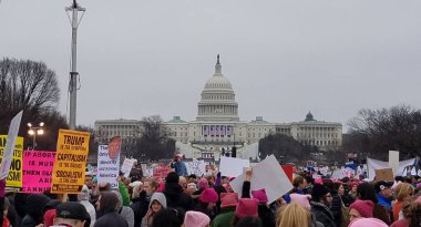 Washington Dc Washington Mart'ta kadınların 21 Ocak 2017