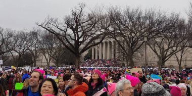 Washington Dc Washington Mart'ta kadınların 21 Ocak 2017