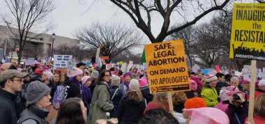 Washington Dc Washington Mart'ta kadınların 21 Ocak 2017