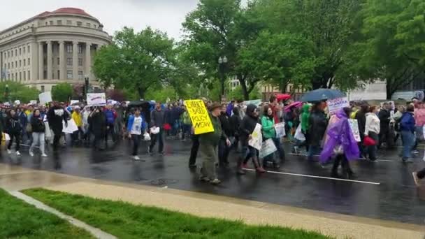 WASHINGTON DC - APRIL 22, 2017 March for Science — Stock Video