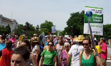 WASHINGTON DC - APRIL 29, 2017 Peoples Climate Movement clipart