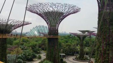 Singapur - 7 Mayıs 2017: Bahçeleri Bay tarafından