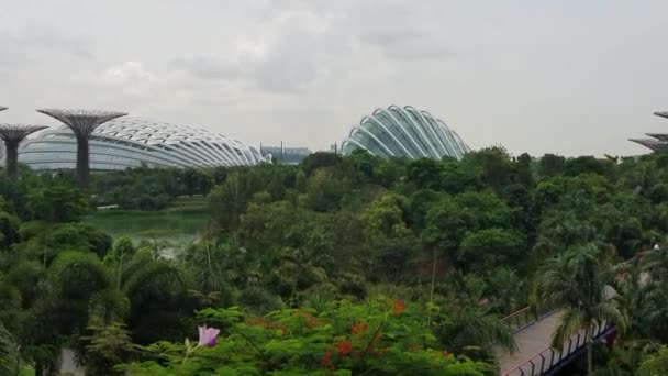 Singapur - 7 maja 2017: Ogrody przez panorama Bay park. — Wideo stockowe