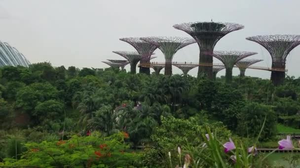 Singapore - 7 maj 2017: Trädgårdar av Bay park panorama. — Stockvideo