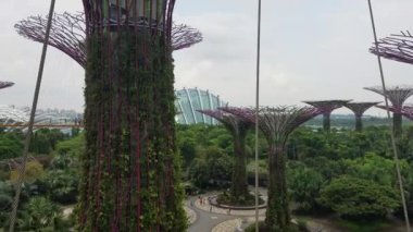 Singapur - 7 Mayıs 2017: Bahçeleri Bay tarafından