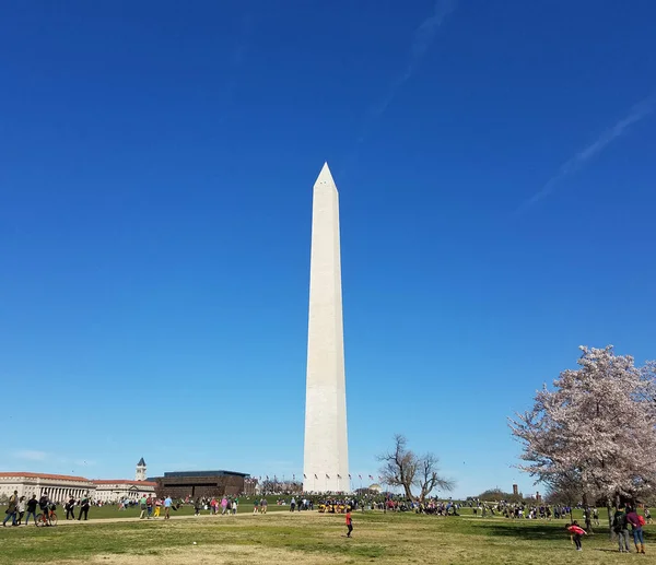 Cherry Blossom Festival em Washington DC, EUA — Fotografia de Stock