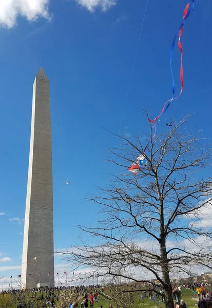 Festiwal latawców kwiat wiśni na National Mall w Waszyngtonie, — Zdjęcie stockowe