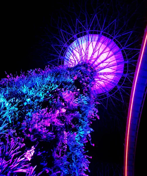 SINGAPUR - 7 de mayo de 2017: Vista nocturna de un súper árbol iluminado — Foto de Stock