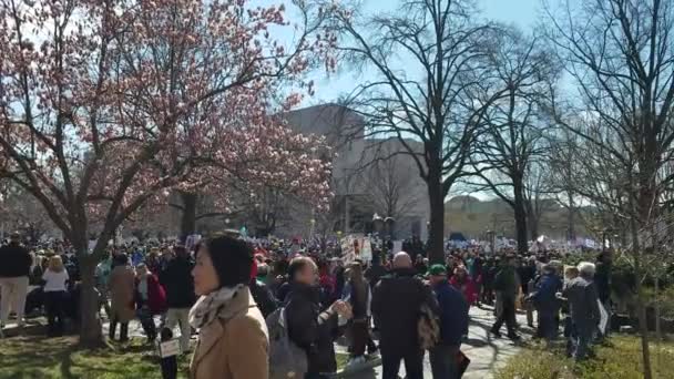 华盛顿特区 2018年3月24日 参加3月为我们的生活的人 一个学生带领的集会在美国全国超过800兄弟事件 要求负责任的枪支控制立法 — 图库视频影像
