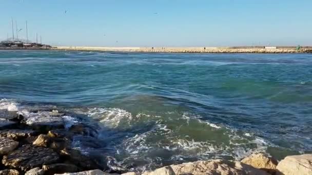 Onde Che Infrangono Rocce Marine Denia Porto Del Mar Mediterraneo — Video Stock