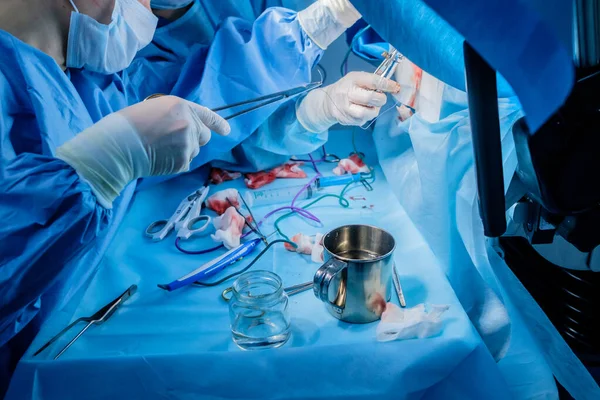 Sebészek véres kezei steril gumikesztyűben, sebészeti eszközökkel, vérnyomokkal. Műtét. — Stock Fotó