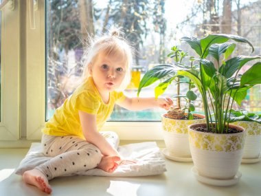 Sarı elbiseli küçük sarışın bir kız bebek saksıdaki çiçeklerin arasında pencere eşiğinde oturuyor. Kız gülüyor ve neşeli bir bakışla bakıyor. Parlak bahar güneşi pencereden parlıyor..