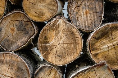 Birbirinin üstünde duran ağaç kütüklerinin uç kısımlarına bakın. Kalorifer ve şömine için odun hasadı. Kurumuş ahşap yapısı ve çatlakları. Ahşap arkaplan.