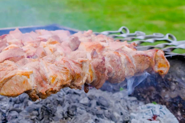 Šťavnaté Čerstvé Plátky Vepřového Masa Navlékají Špejle Grilují Grilu Dřevěném — Stock fotografie