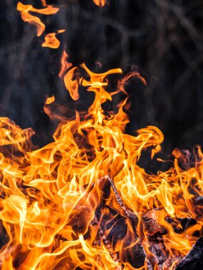 Parlak turuncu bir ateş alevi karanlık bir arka planda yanar. Huş ağacının yakacak odunları. Alevler içinde yanan diller hızlanır. Yoğun ısı.