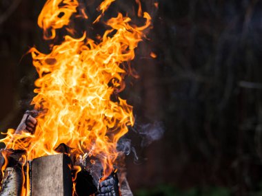 Parlak turuncu bir ateş alevi karanlık bir arka planda yanar. Huş ağacının yakacak odunları. Alevler içinde yanan diller hızlanır. Yoğun ısı.