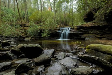 Şelale, kayalar ve Orman Table Rock State Park, Güney Carolina