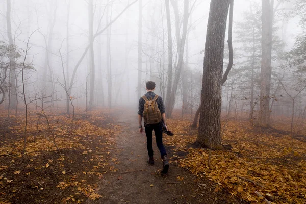 Homem Caminhando Sozinho Floresta Nebulosa — Fotografia de Stock