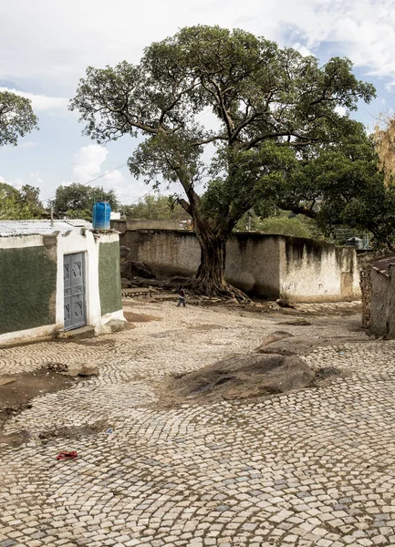 View of the ancient city of Harar, Ethiopia from inside the city — Stock Photo, Image