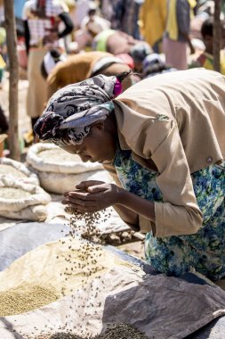 Oromia, Etiyopya-Kasım 1, 2017: Etiyopya açık bir pazarda yeşil kahve kimliği belirsiz bir kadın sifts.