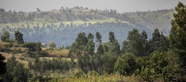 Bauernhof Haus Und Berge Hochland Von Äthiopien — Stockfoto