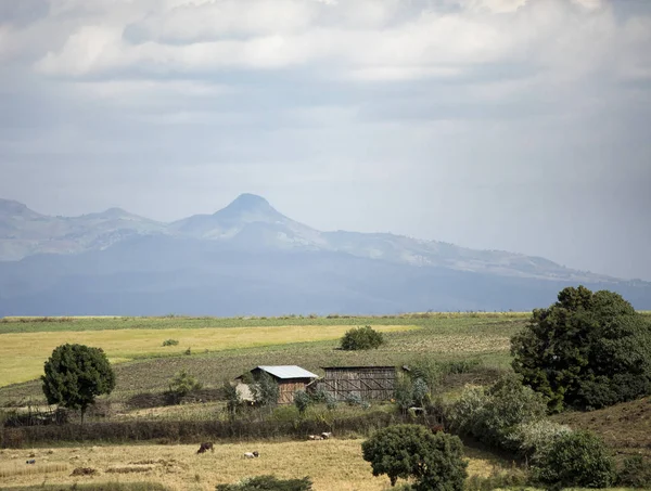 Fattoria Agriturismo Nelle Remote Montagne Dell Etiopia — Foto Stock