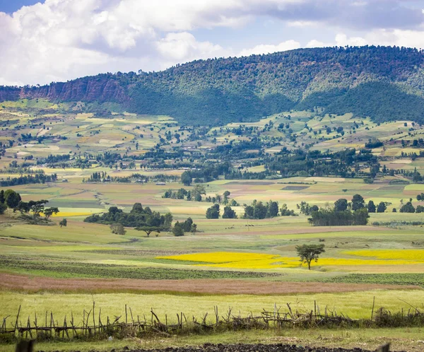 Färgglada Gård Fält Och Berg Etiopien — Stockfoto