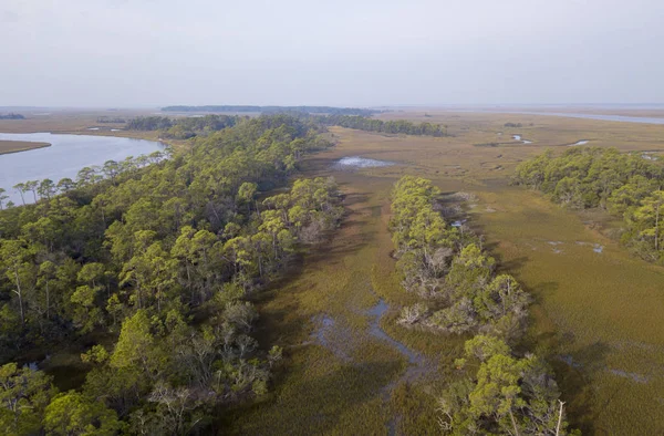 Aerial View Coastal Salt Marsh Forest South Carolina — Stock Photo, Image