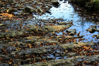 Bir kaynak saf dağ su, Krasnodar bölgesi, Rusya Federasyonu