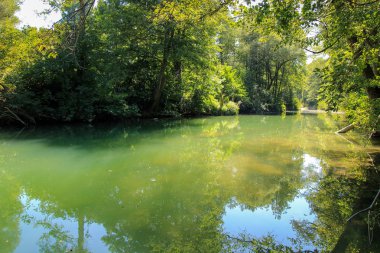 Bir kaynak saf dağ su, Krasnodar bölgesi, Rusya Federasyonu
