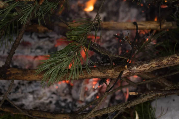 winter bonfire burns bright orange