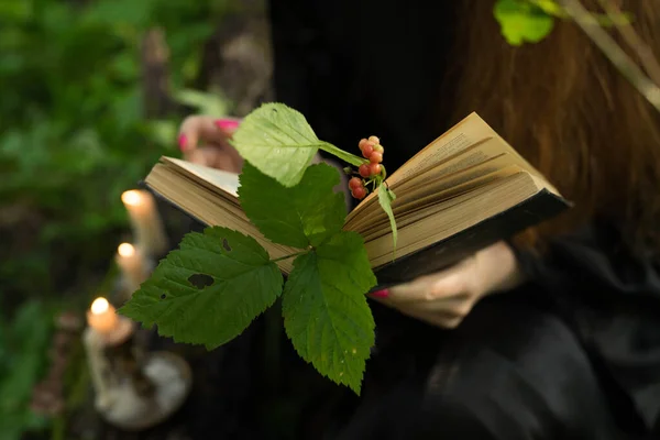 Ein Mädchen liest ein Buch und anstelle eines Lesezeichens einen Zweig — Stockfoto