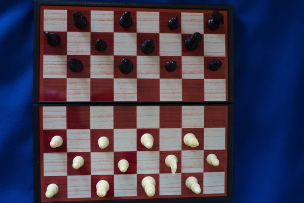 black and white chess stand on a chessboard