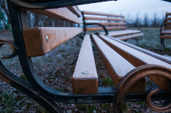 Dřevěná Lavice Železnými Tepanými Prvky Železná Lavička Podzim Parku — Stock fotografie