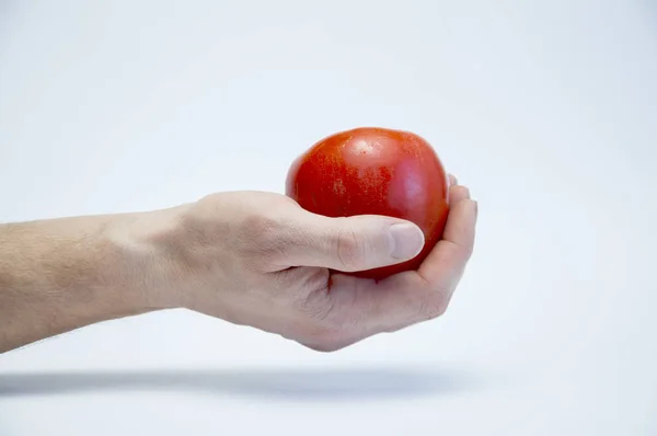 Rosso Maturo Succoso Cachi Freschi Mano Uno Sfondo Bianco — Foto Stock