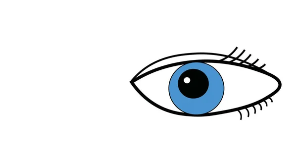 人的蓝眼睛睁开 眼睛的接触 白色背景 — 图库照片