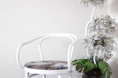 Beyaz bir duvarın arka planında dekoratif beyaz sandalye. Yatak odasında. İç mekan. Yapay saksı