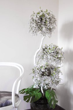 Beyaz bir duvarın arka planında dekoratif beyaz sandalye. Yatak odasında. İç mekan. Yapay saksı