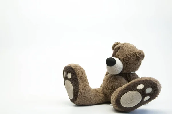 Children Soft Toy Brown Bear White Background — 스톡 사진