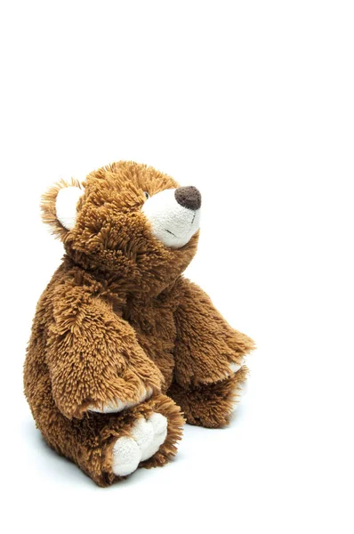 Roztomilý Medvěd Hnědý Hračka Měkká Pšt Tlama Uši Tlapek Hlavy — Stock fotografie